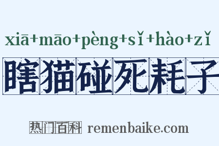 瞎猫碰死耗子是什么意思的图片